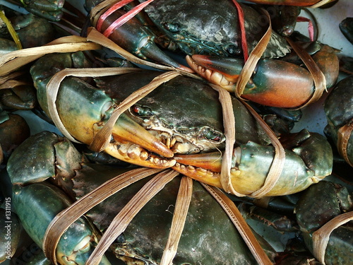 crabe, thailande