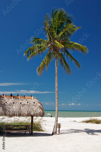tropical paradise