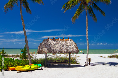 tropical paradise