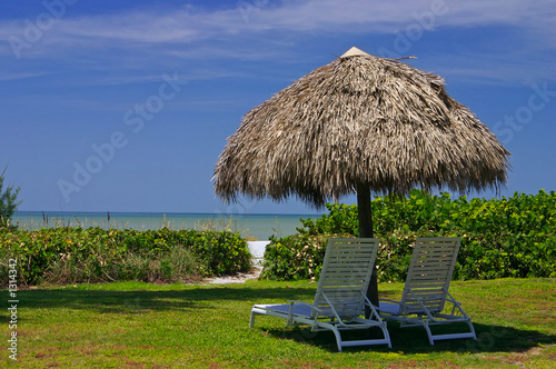 tropical paradise