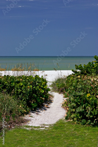 tropical paradise walk to the beach