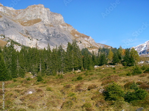 Fototapeta Naklejka Na Ścianę i Meble -  schöner tag in den schweizer bergen