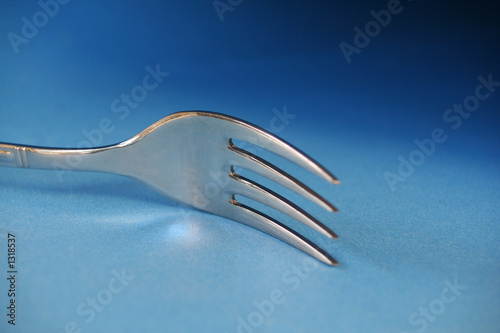 fork photo