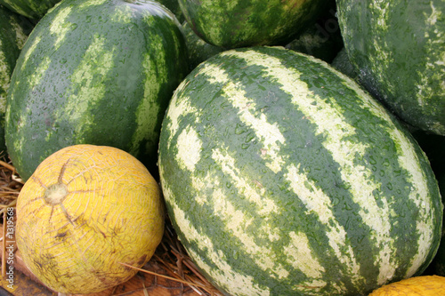 watermelons and cantaloupes