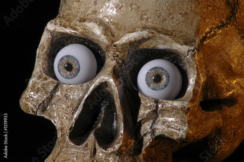 Принти на полотні skull 4