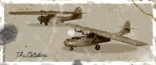 Tableau sur toile catalina 2 views