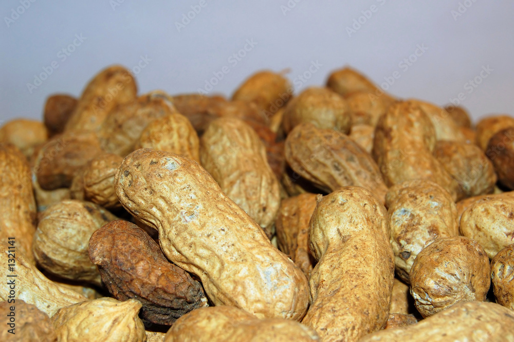 Fototapeta premium peanuts