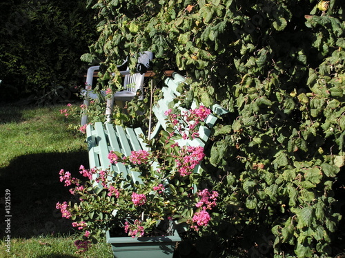 Tablou pe pânză petit coin de jardin
