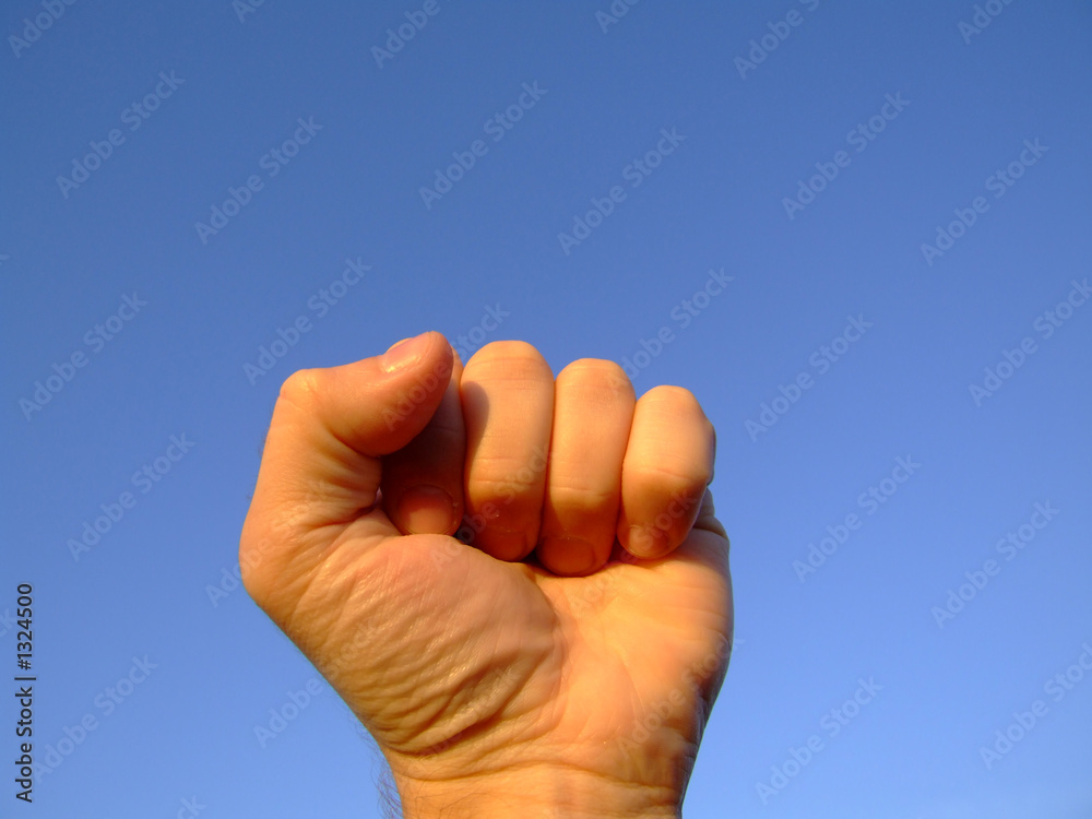 hand series : closed hand series : closed