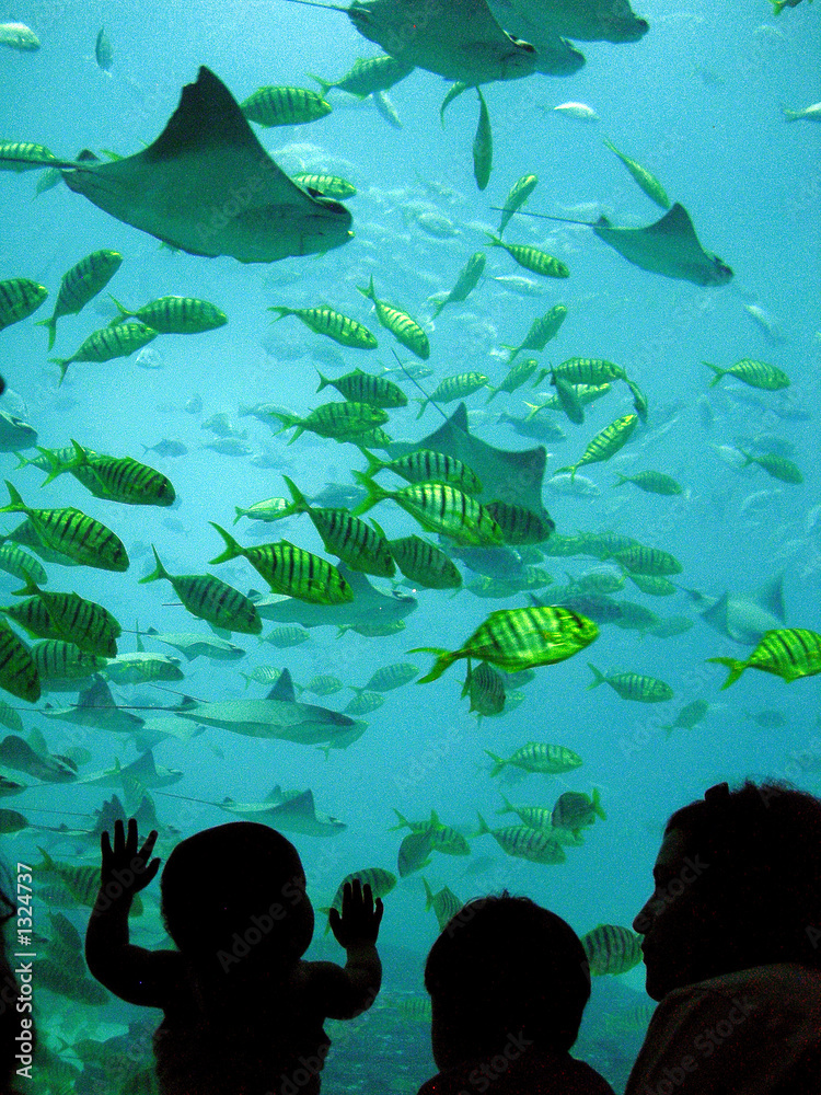 Naklejka premium georgia aquarium