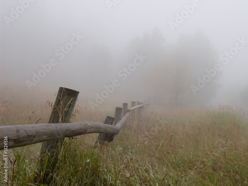 fenceline in fog