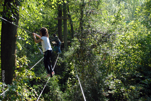 pont de singe