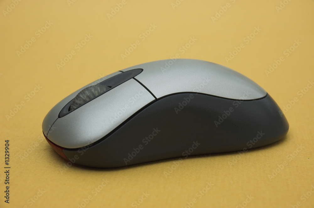 computer mouse computer mouse