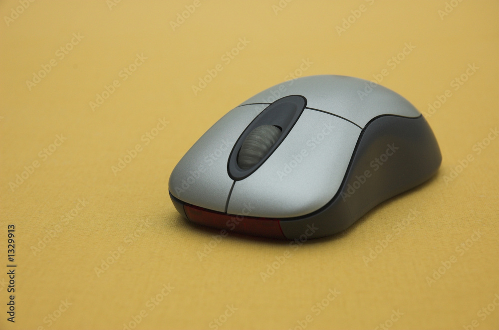 computer mouse computer mouse