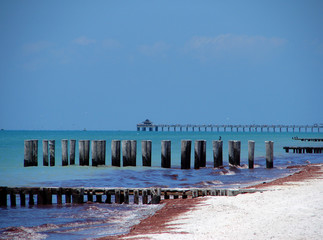 Fotobehang Pier Naples pier en zandstrand  © Pix By Marti 
