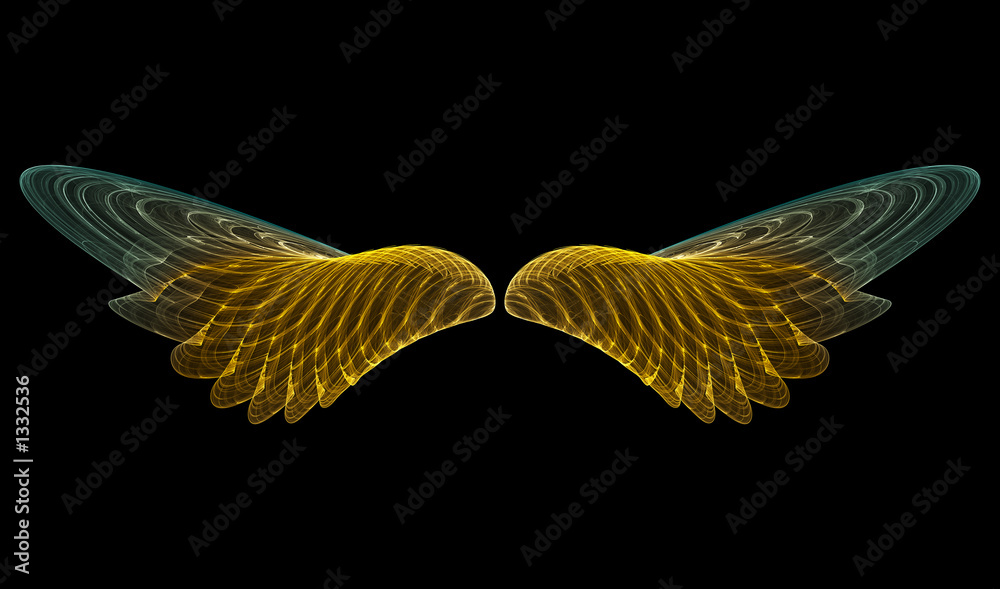 Fototapeta premium golden angel (abstract)