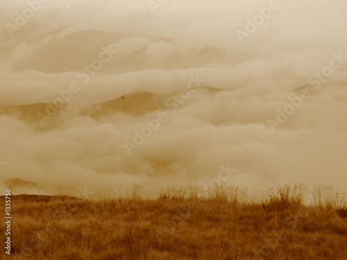 sepia feeling