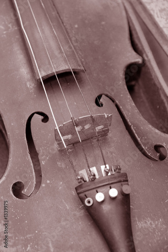 violin