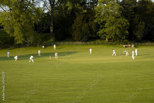 cricket match on a summer evening ashford in the w