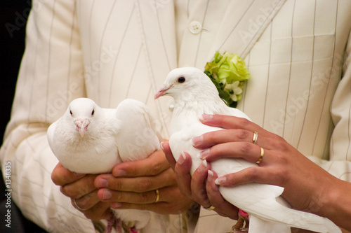 wedding doves