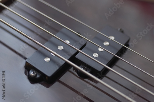 guitar strings photo