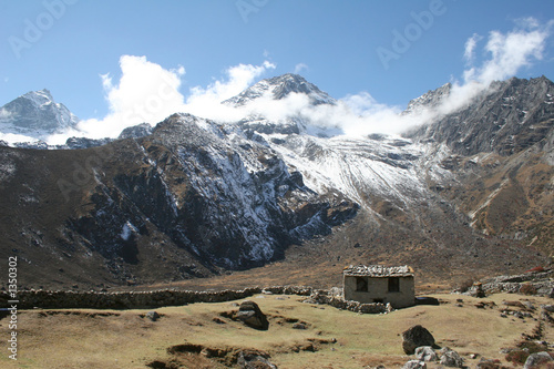 farming lodge near luza - himalayas photo