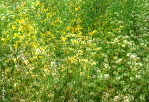 Obraz na płótnie impressionist field with wildflowers w salonie