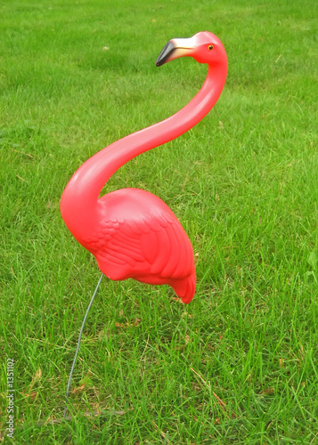 lawn flamingo