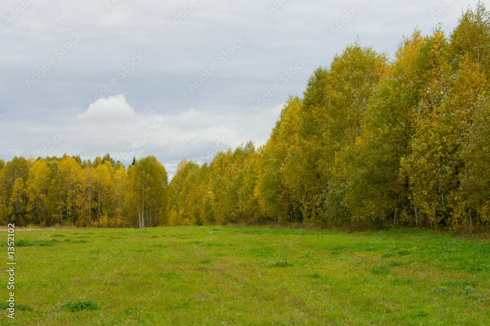autumn landscape