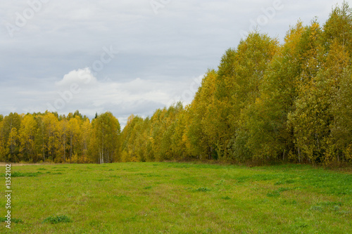 autumn landscape