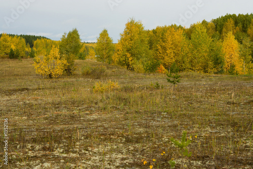 autumn landscape