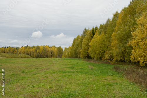 autumn landscape