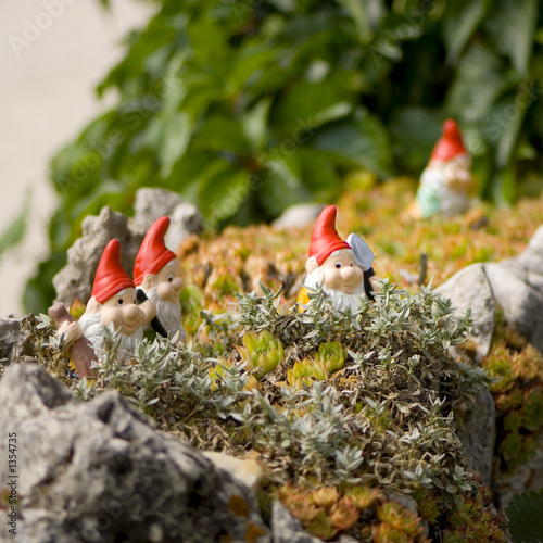 nains de jardin photo