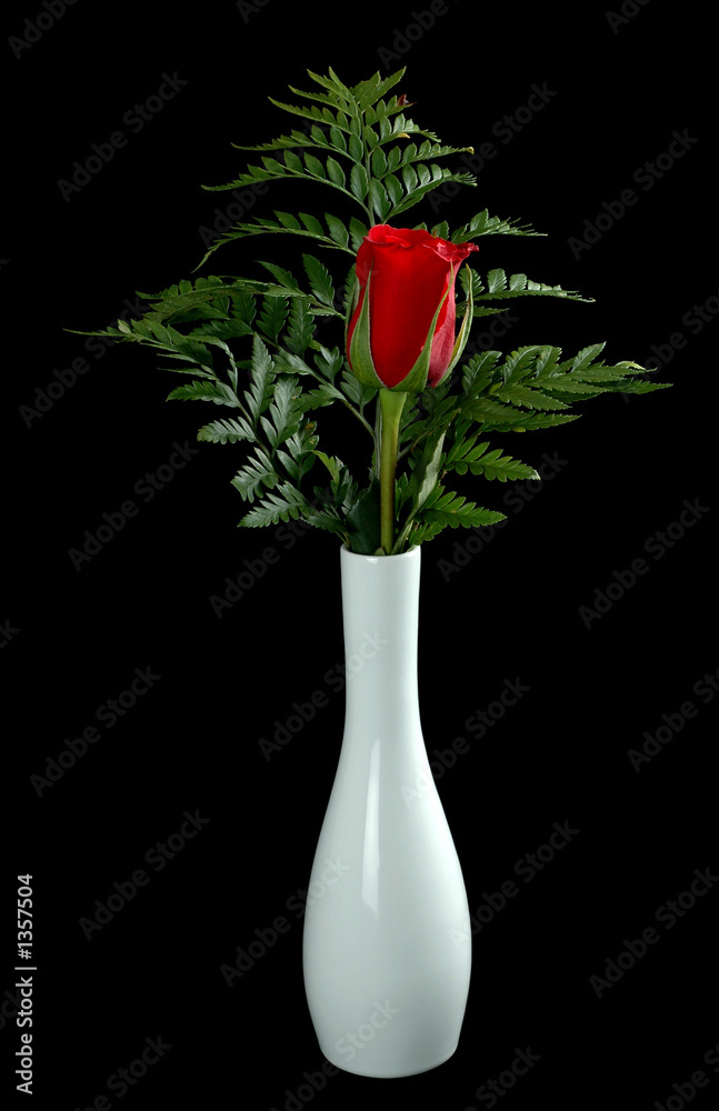 Obraz premium single red rose