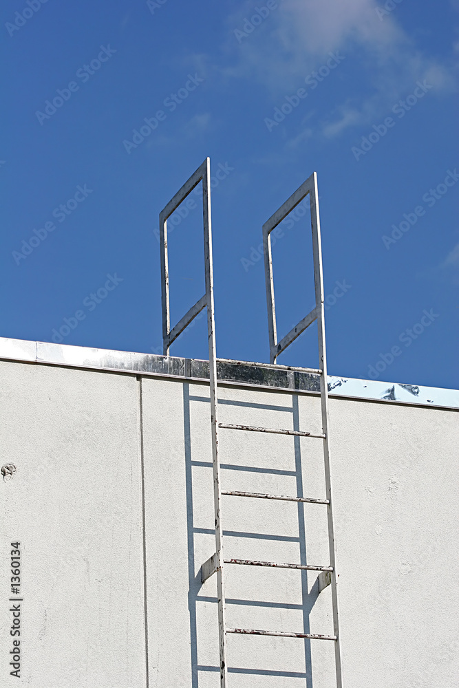 industrial ladder