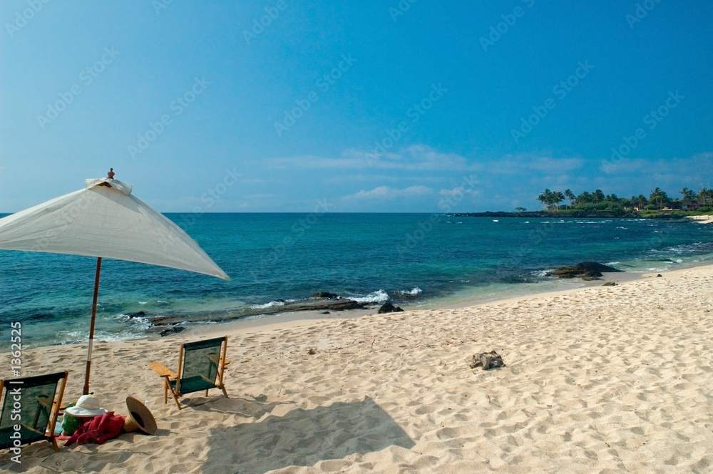 tropical beach scene