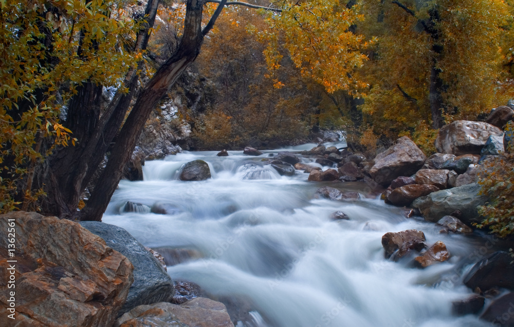 mountain stream at fall