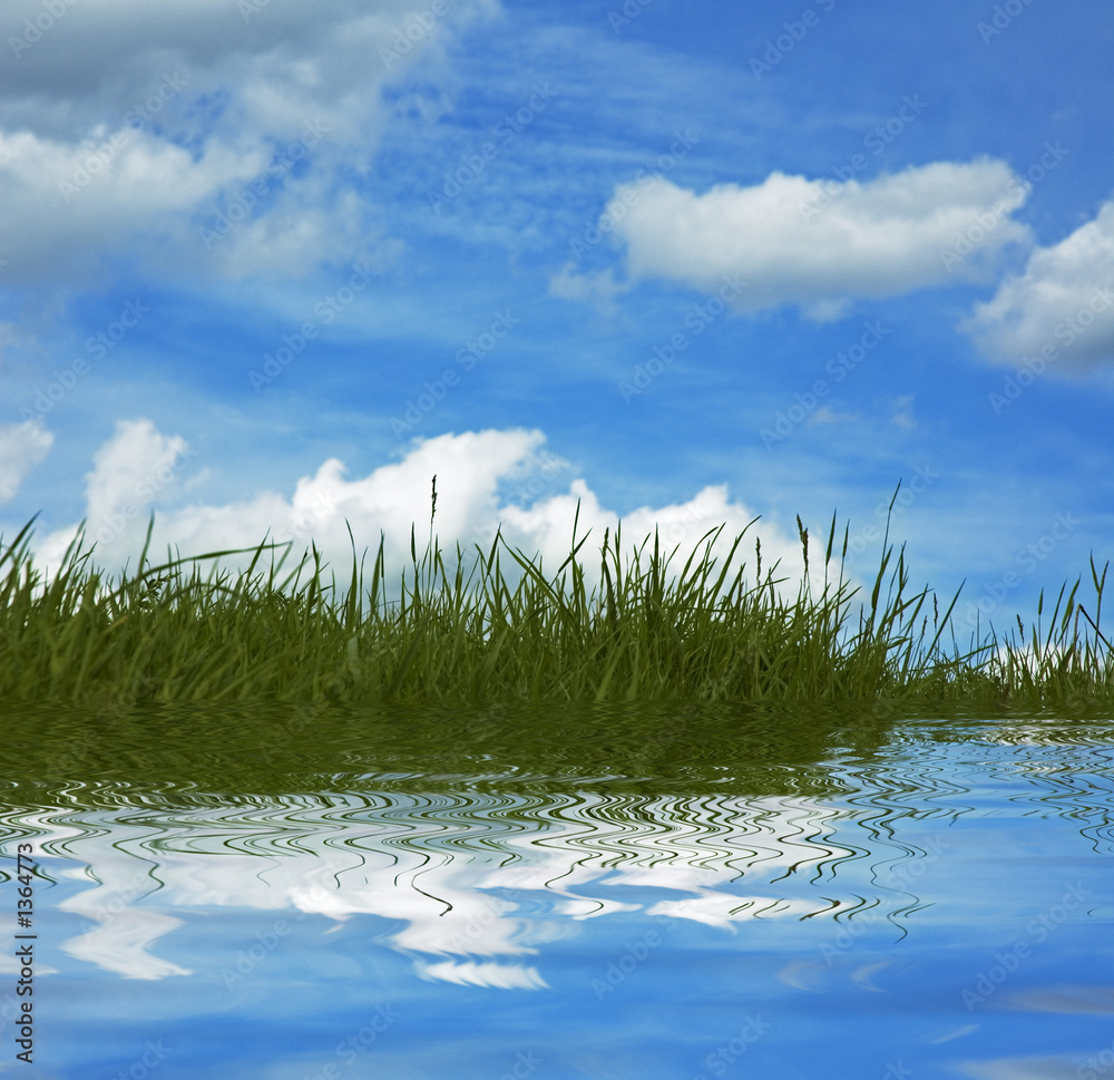 Obraz premium background of grass and blue sky