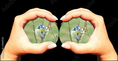 hand & natur