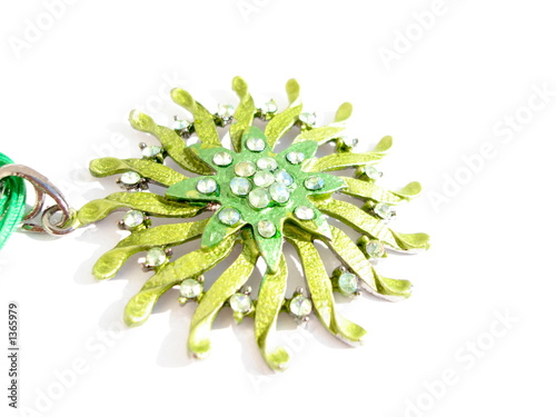 beautiful green coulomb on a white background