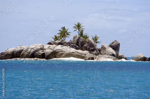 rocky island with palm