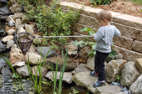 hunting frogs