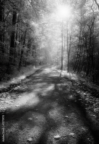 waldweg