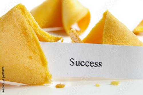 Slika na platnu future success