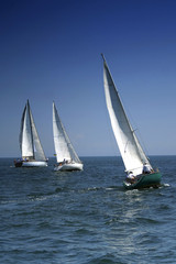 Fotobehang Zeilen Aanvang van spannende zeilregatta  © Taiga