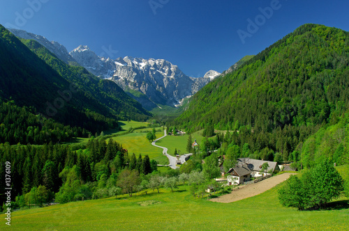 spring in alpine valley photo