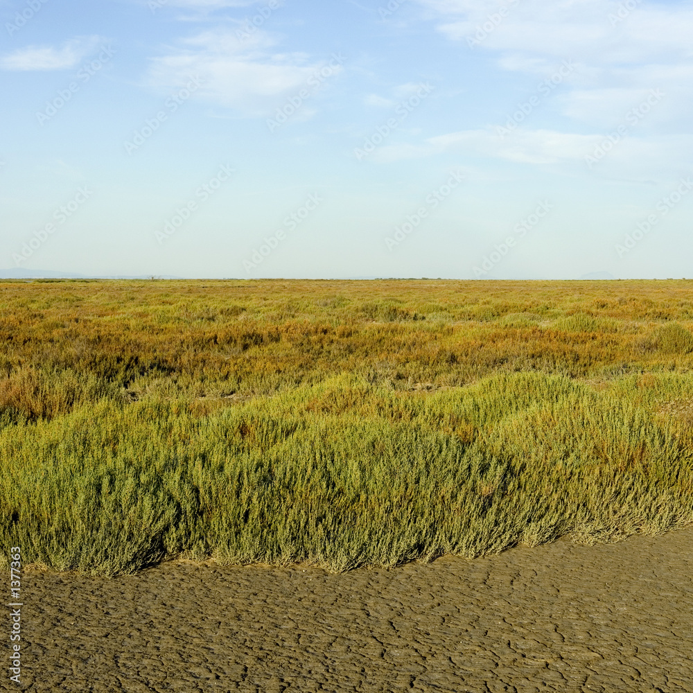 Obraz premium assèchement d'un étang