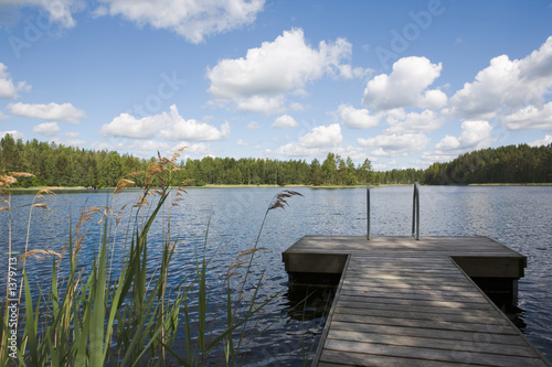 Fototapeta Naklejka Na Ścianę i Meble -  summer lake