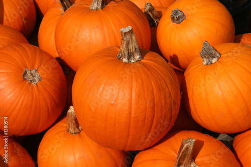 sugar pumpkins