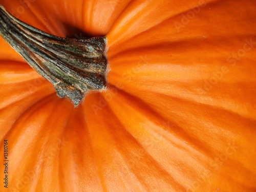 close-up of orange halloween pumpkin with green stalk
